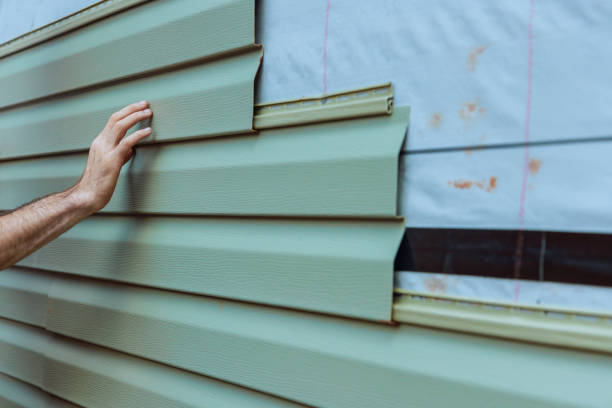 Best Stone Veneer Siding  in Nora Springs, IA